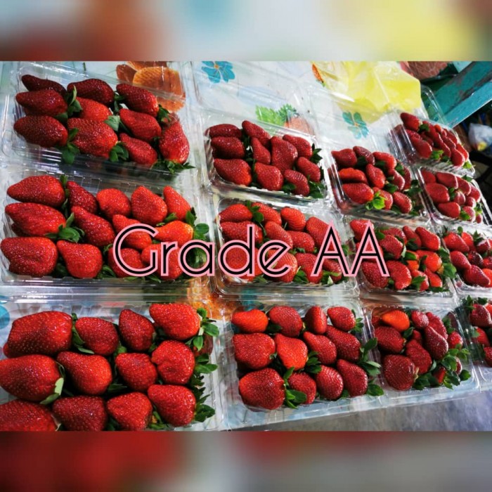 [1Kg Grand AA] Fresh Strawberry Cameron (Ship Every Thrusday & Friday)